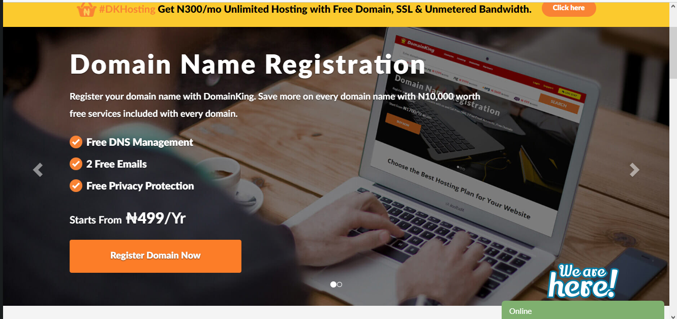 Domain name registration with domainking