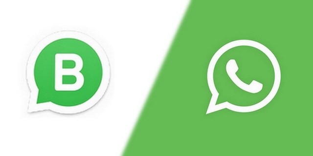 How Does Whatsapp Work
