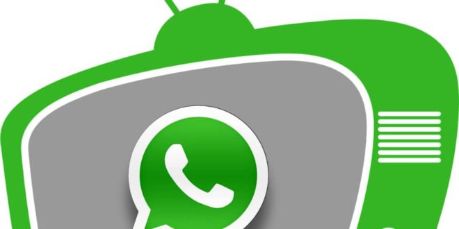 Whatsapp TV With The Highest Views in Nigeria