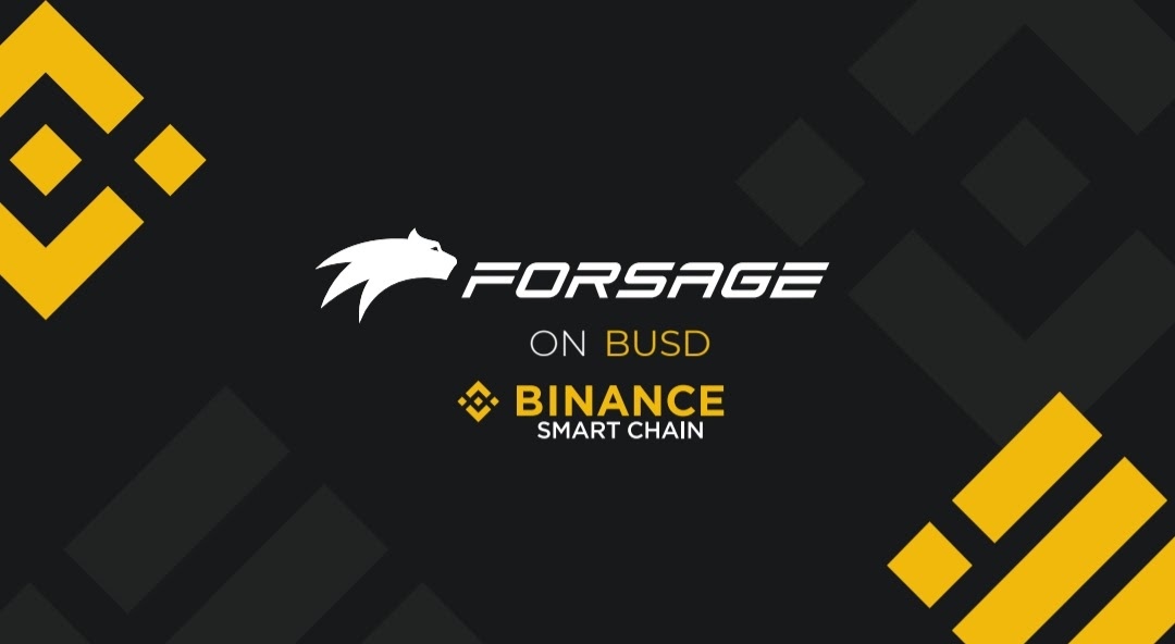 Forsage BUSD Review