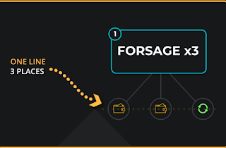 Forsage BUSD Review