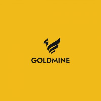 About Goldmine Review