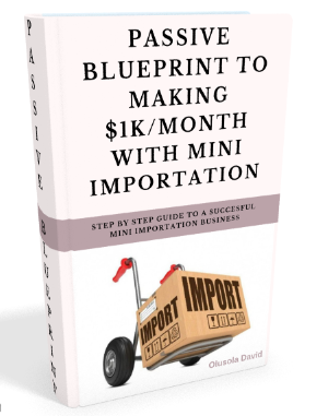 Mini Importation Ebook Course