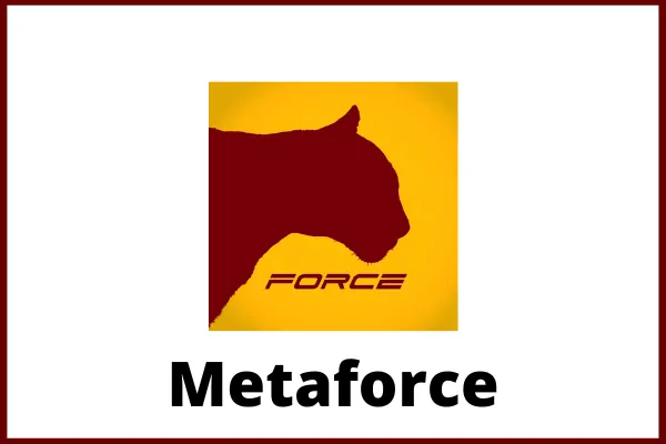 Forsage Metaforce Review