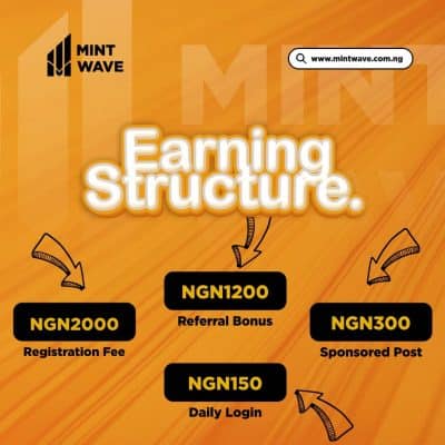 How To Make money on Mintwave
