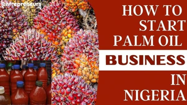 How To Start Palm Oil Business in Nigeria