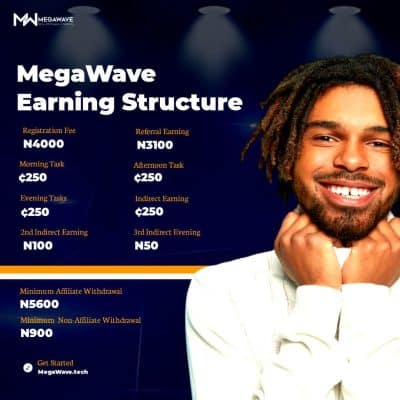 How To Make Money on Mega wave