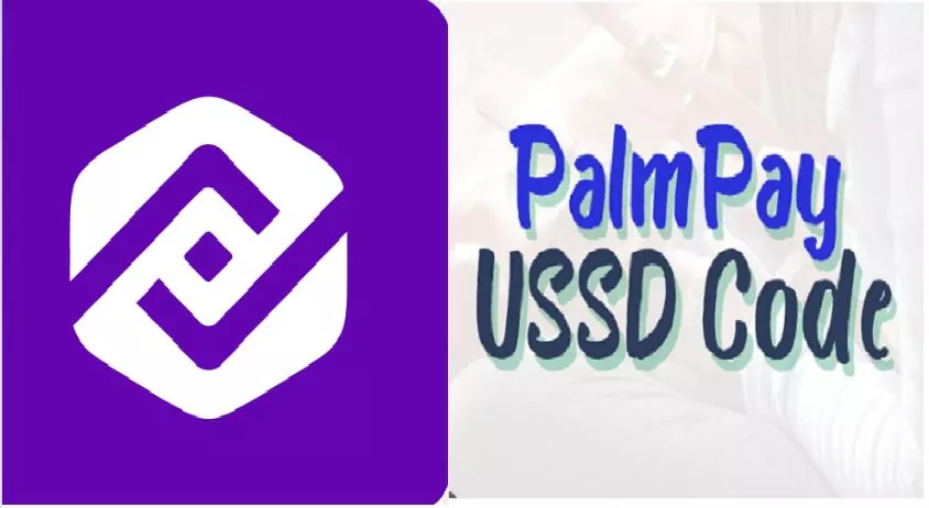Send Money to PalmPay Using USSD